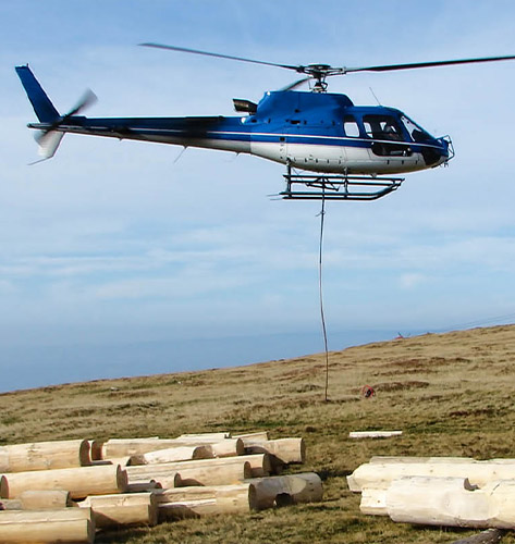 Denver Helicopter Logging